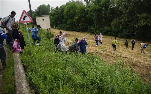 Illegális bevándorlás: Európa öngyilkosságot követ el